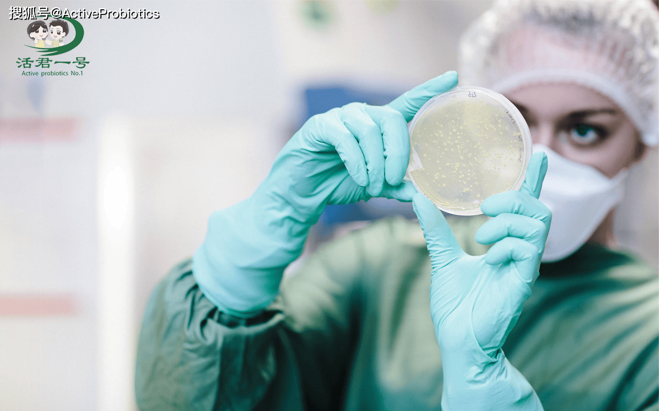 casei21的健康作用及适用人群?