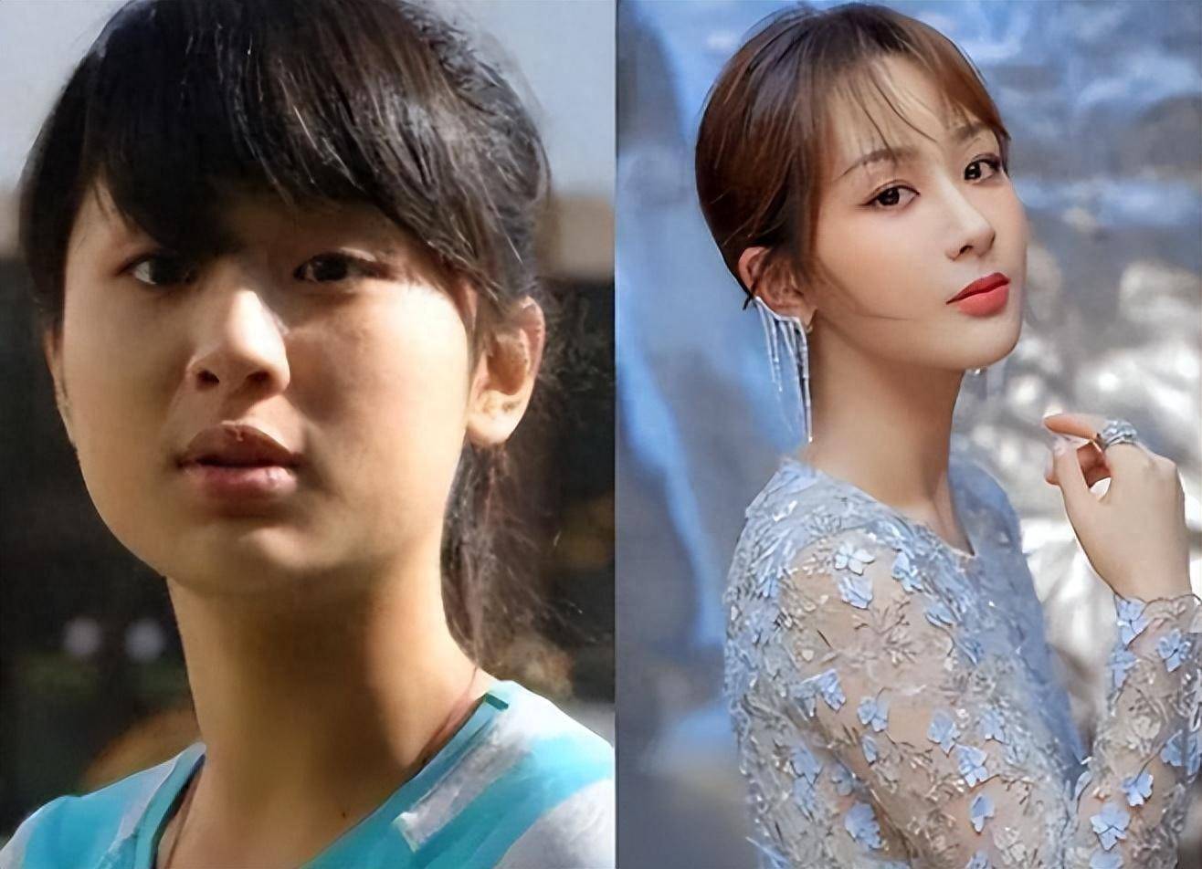 杨紫的塌鼻子,小眼睛,方形脸,加上皮肤还偏黑一些.