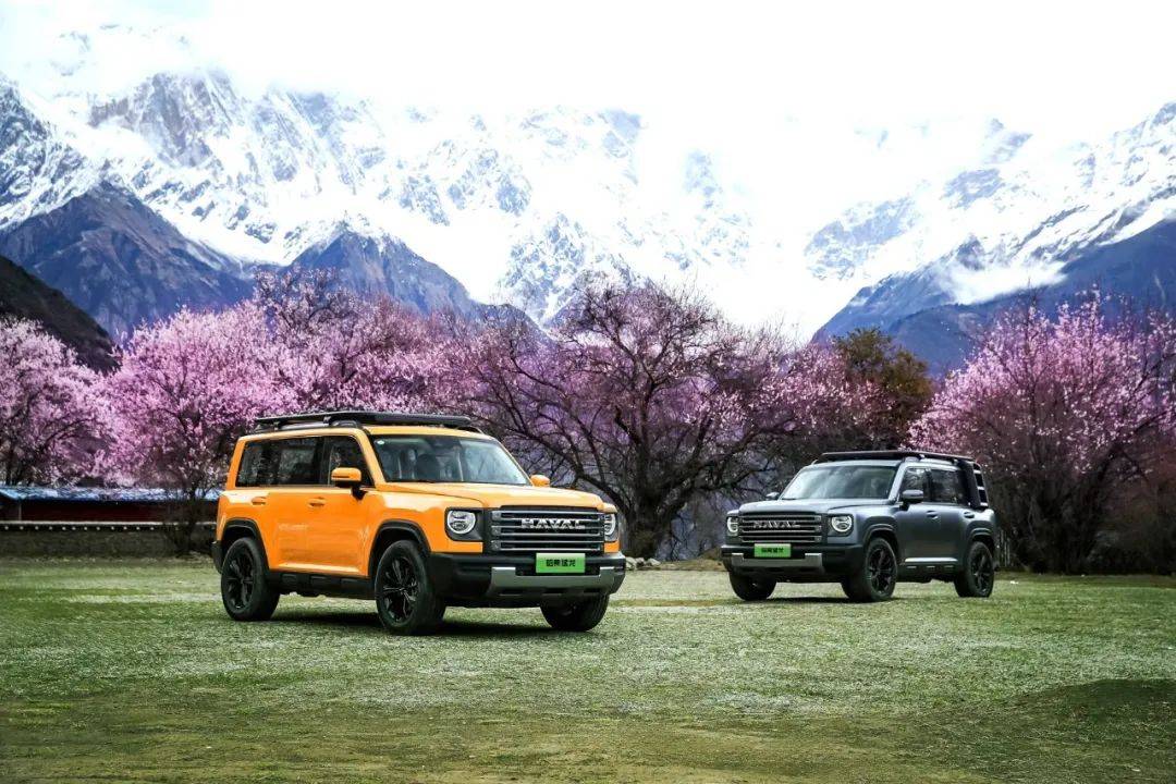 58-19.28万元,2024款哈弗猛龙正式上市