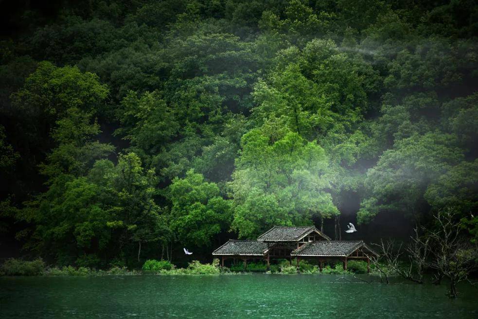 免票!"中华才艺小姐沐春艺术节"4月28日龙源峡全新开园-当天免门票!