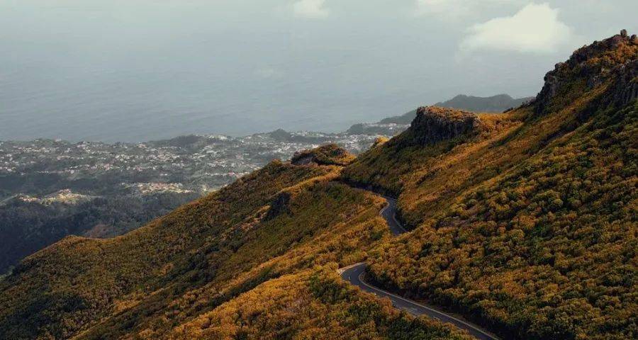 家电市场抢单忙:格力美的海信长虹帅康发力,松下TCL创维调整-家电圈官网