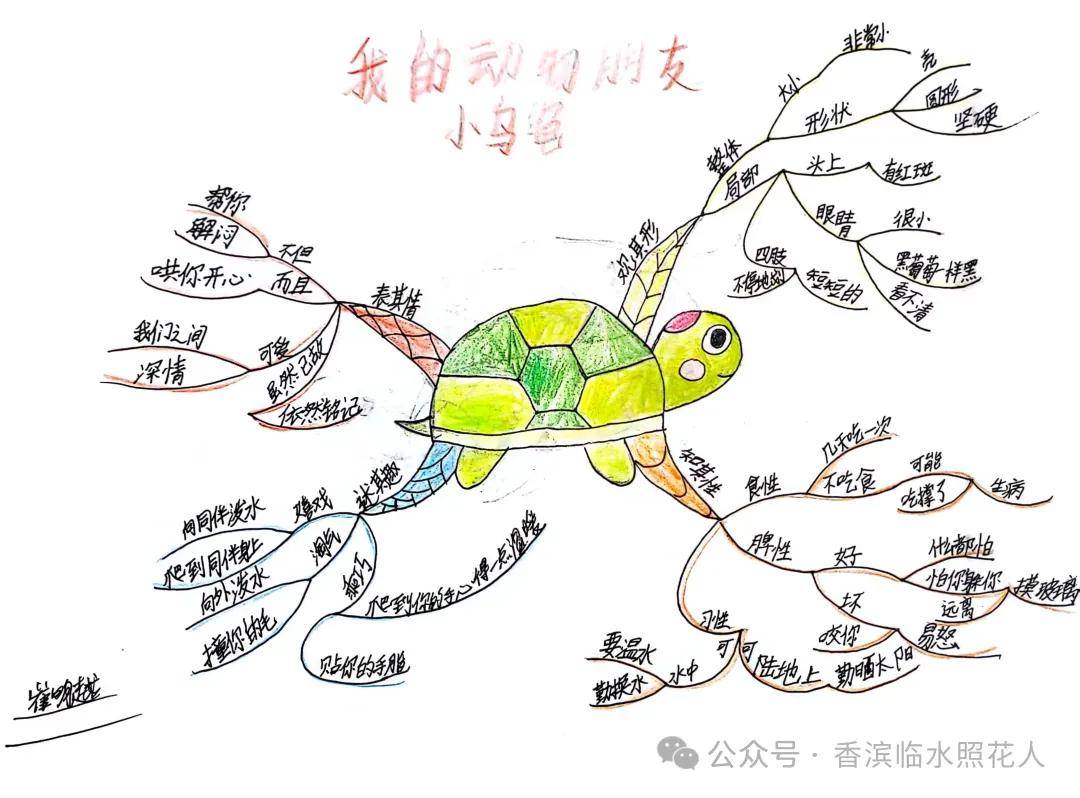 动物远征队的思维导图图片