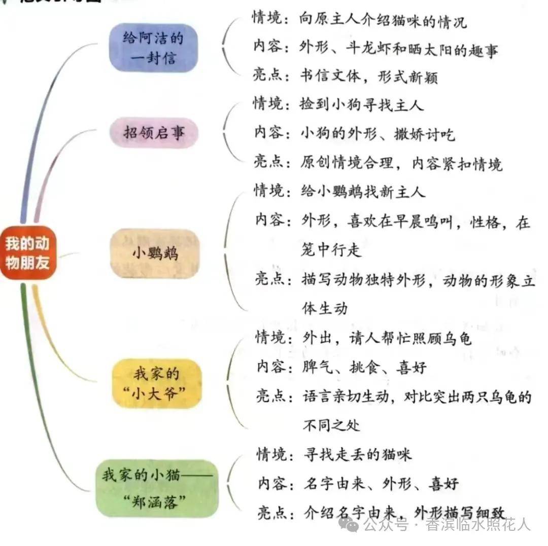 小狗的思维导图 简单图片