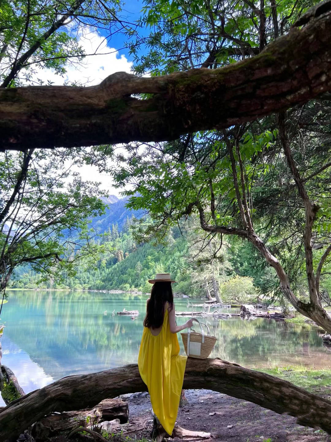 去一次泰国7日游多少钱人民币?省钱!泰国自由行旅游管家怎么找多少钱?
