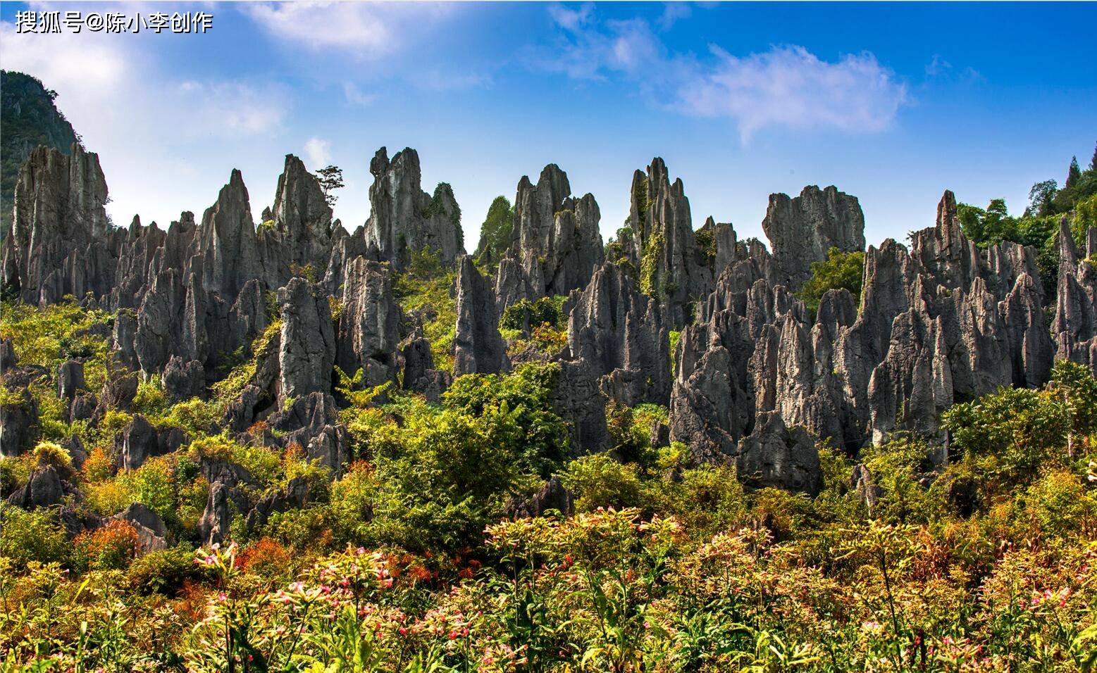 贝壳山坐落在都兰县诺木洪乡东南的荒漠地带,同时也延伸至德令哈市