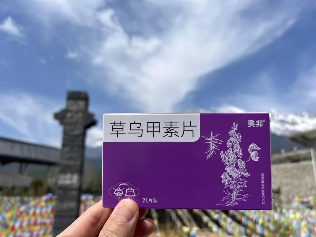 趁着母亲节来临之际,我们丽江之宝雪山草乌深加工品草乌甲素片来盗怂