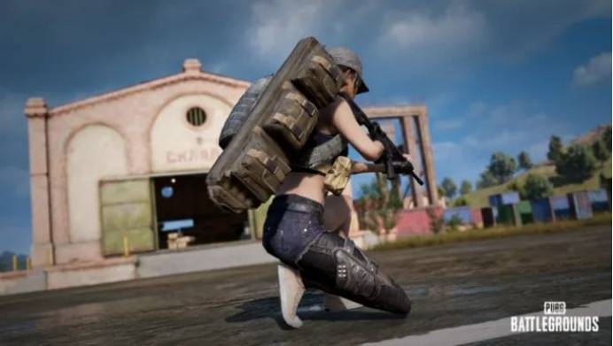 白卜庭冒险pubg吃鸡没人管格斗游戏咋办(图1)