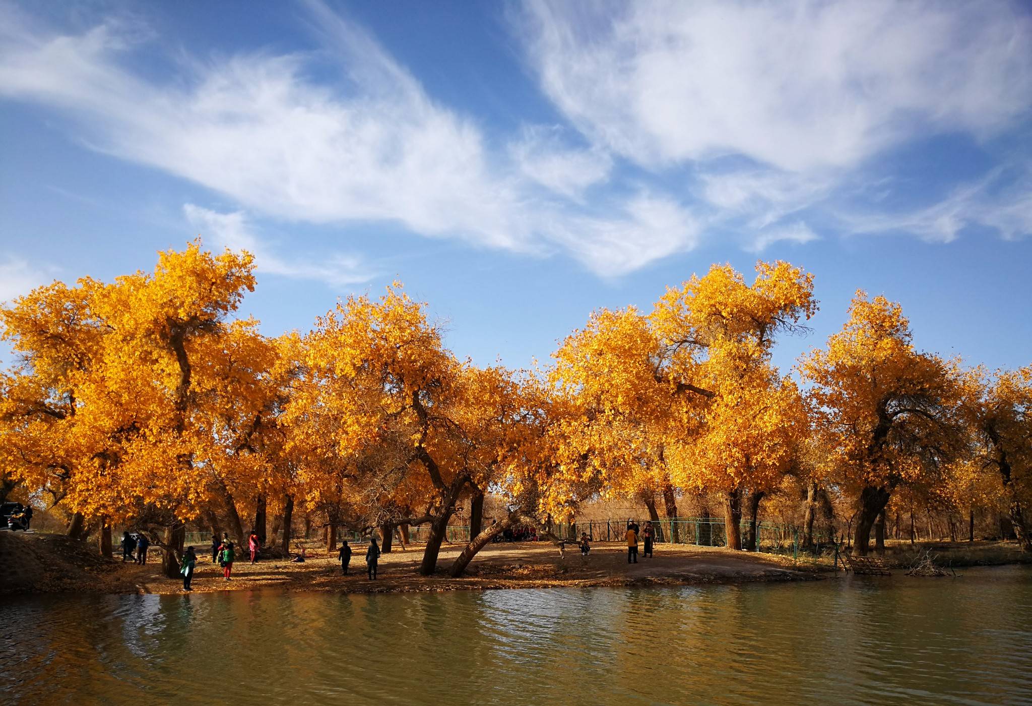 去内蒙古呼伦贝尔五日游需要多少钱?内蒙旅游攻略推荐