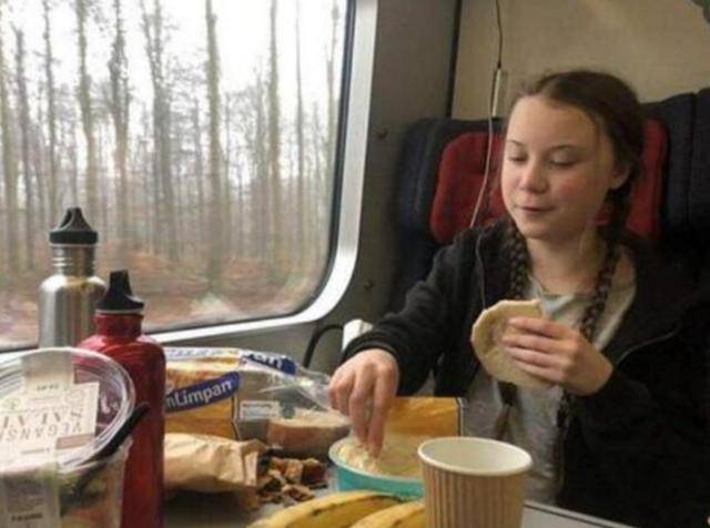 那个嘴上喊着环保,实际铺张浪费的环保瑞典女孩,最终成为笑柄!