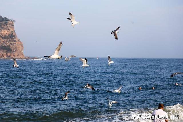上海海昌海洋公园疫情图片