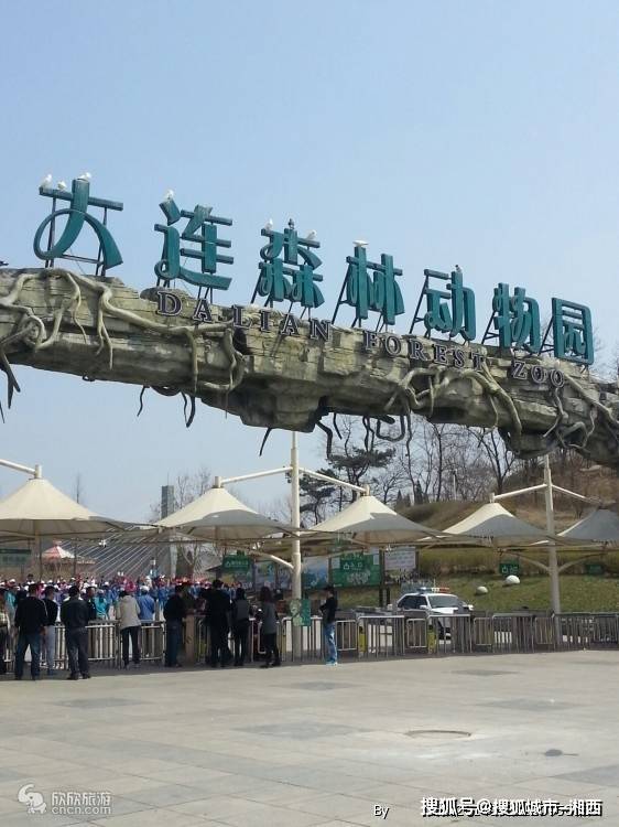 大连适合几月份过去旅游_表演_星海广场_森林动物园