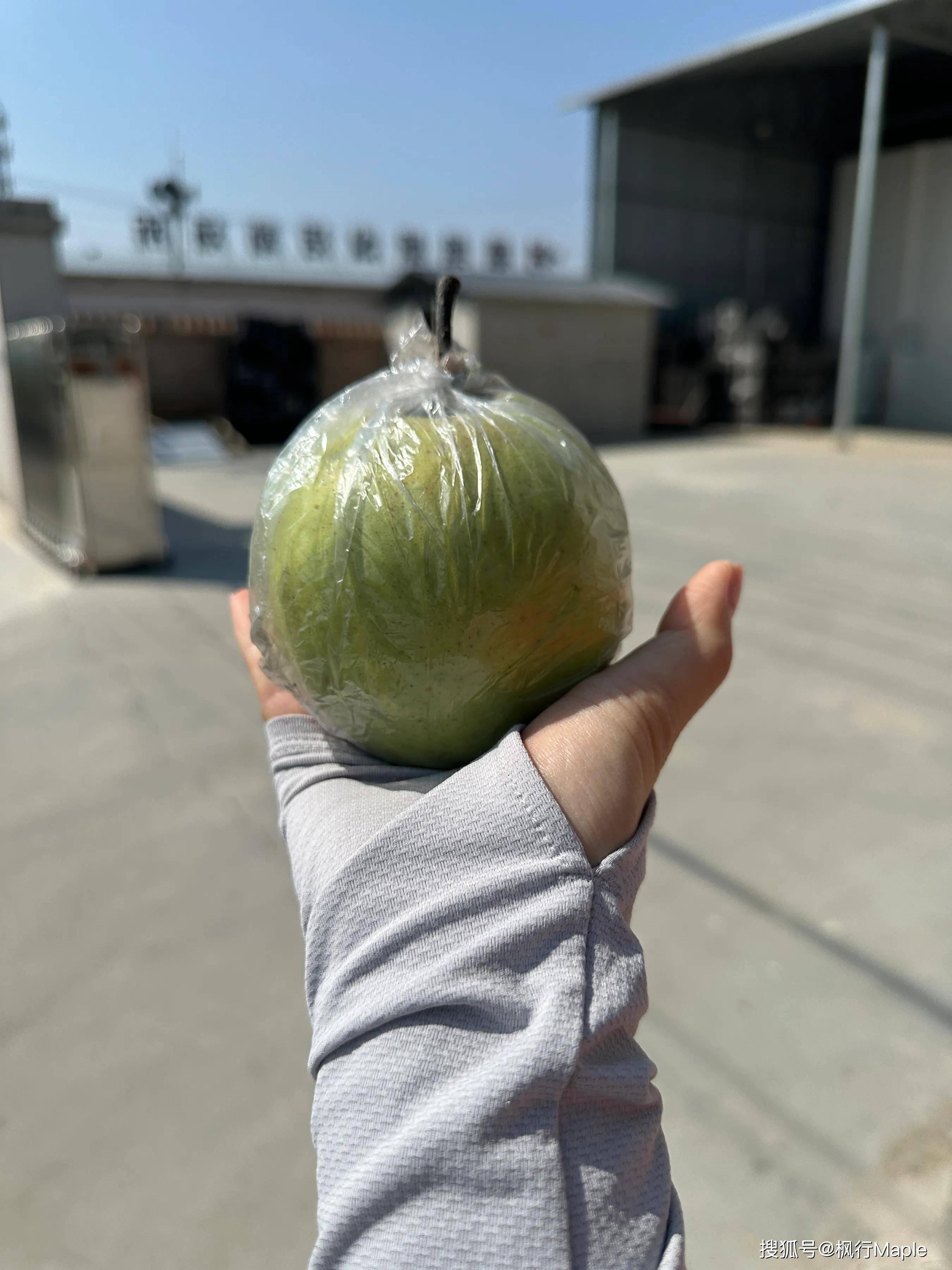 一个山西,你可以玩八天?