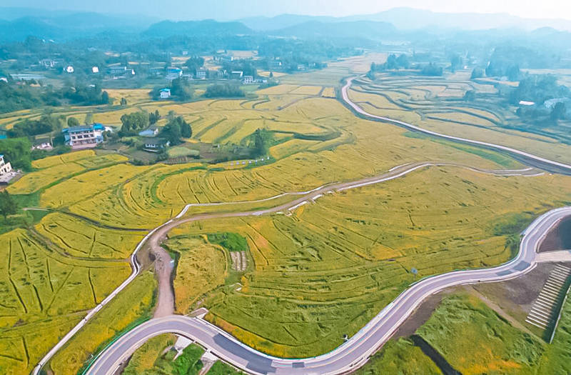 四川营山:库库清水润田畴 不误春日好农时_营山县_水库_灌区