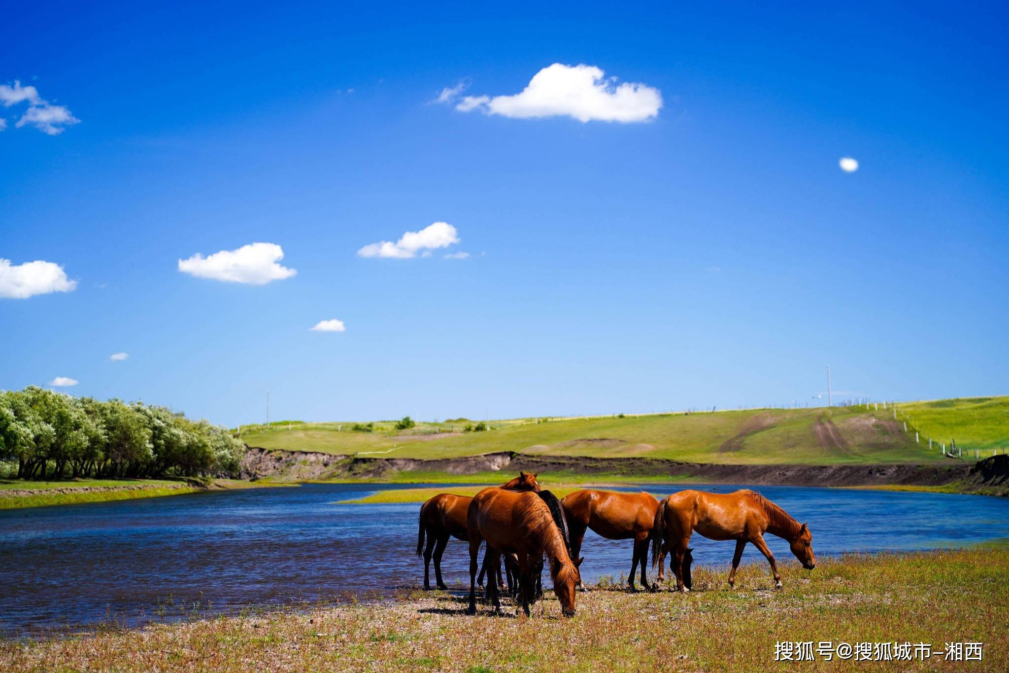 去内蒙古呼伦贝尔大草原玩6天怎么玩?内蒙古旅游攻略
