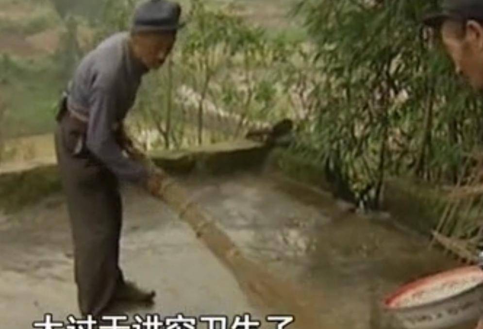 汪学_细菌_农村