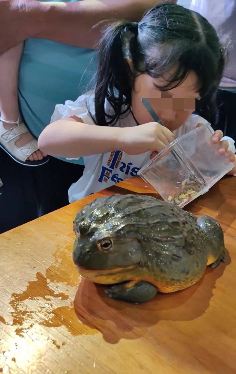 女子吞老鼠图片