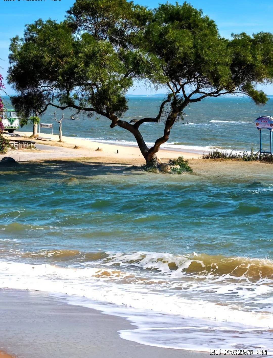 厦门旅游3天大概需要准备多少钱?省心攻略!老年人跟团去厦门费用多少?