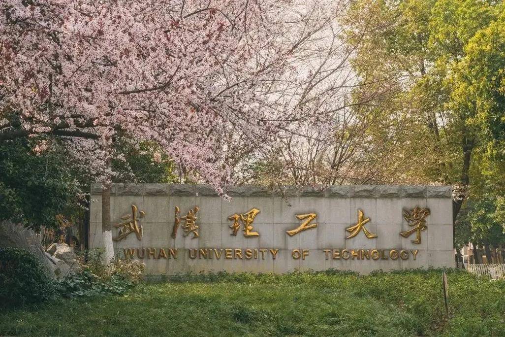 武汉理工大学揭阳校区图片