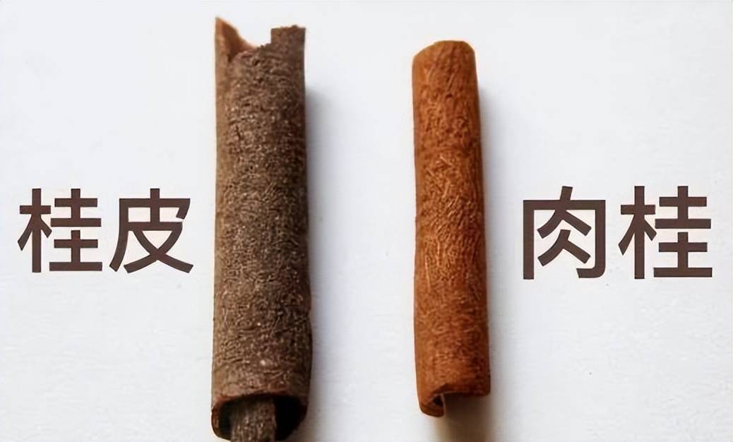 肉桂和桂皮一字之差,但不是去皮的区别,区别很大,别再用错了