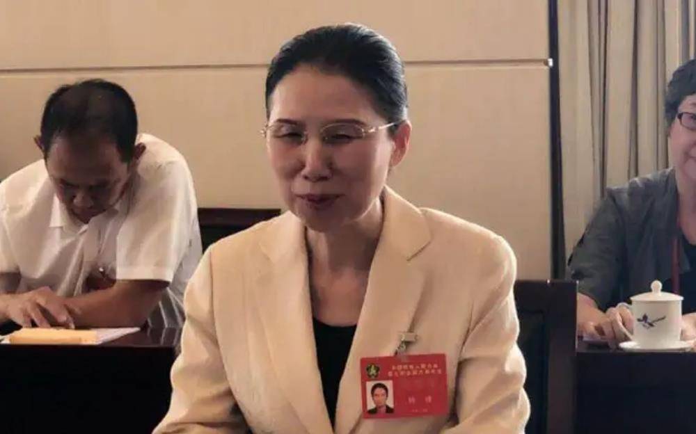 中科院女教授:29岁永久失明,丈夫带着女儿离开,8年后逆风翻盘_杨佳