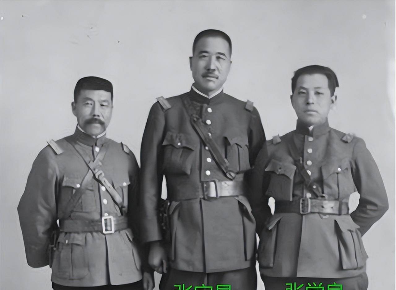 "狗肉"将军张宗昌,娶23房姨太太,因两个"粪筐"被张作霖重用