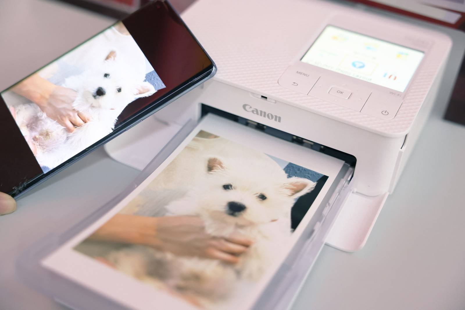 佳能携影像产品及丰富解决方案亮相2024 china p&e