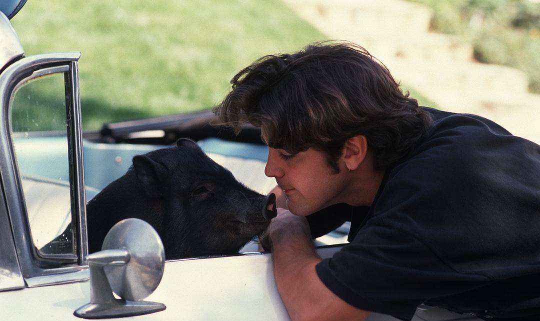 乔治·克鲁尼的好莱坞追梦记和桃色往事