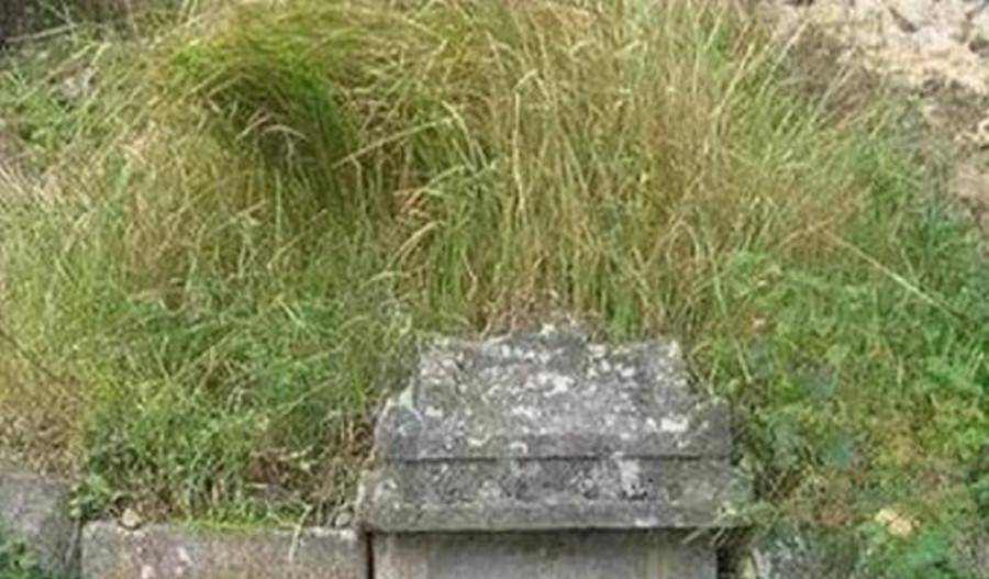 80年代,湖北男子以捕蛇为生,5年后被蛇群咬死,蛇群曾聚集墓地