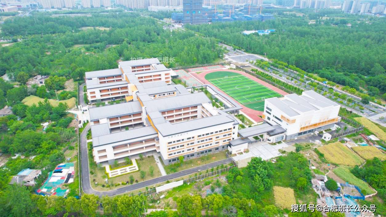 合肥市卓越小学沿着辽宁路往南,在辽宁路与锦绣大道交口是滨湖金融