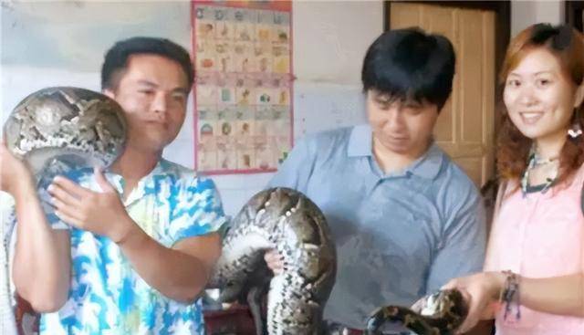 这条蟒蛇真的通人性吗?它和恩人之间又有着怎样