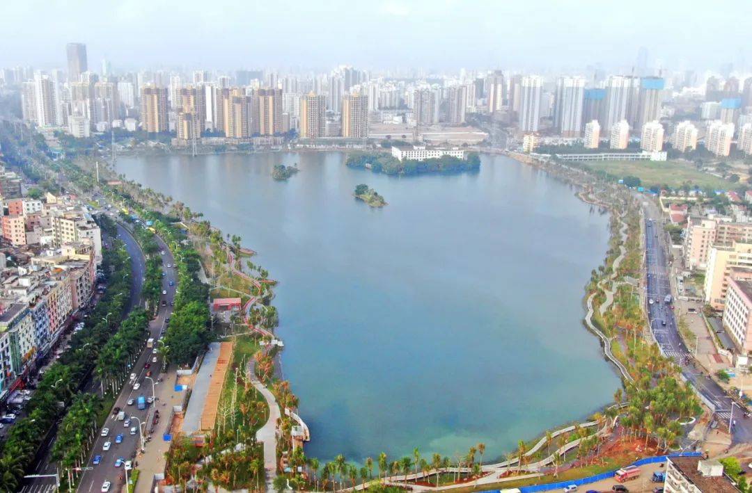 海口红城湖出现大量死鱼,已经捞出8吨,到底什么原因引起的?