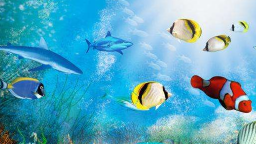 它是史上最有骨气的鱼,一旦被捕捞就会选择自尽_深海_海洋生物_生活