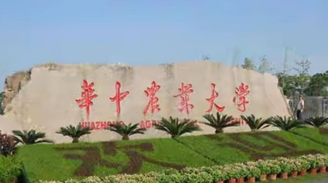 在一次回家看望父亲的时候,肖崇阳和肖晶晶正在讲着话,突然传来的敲门