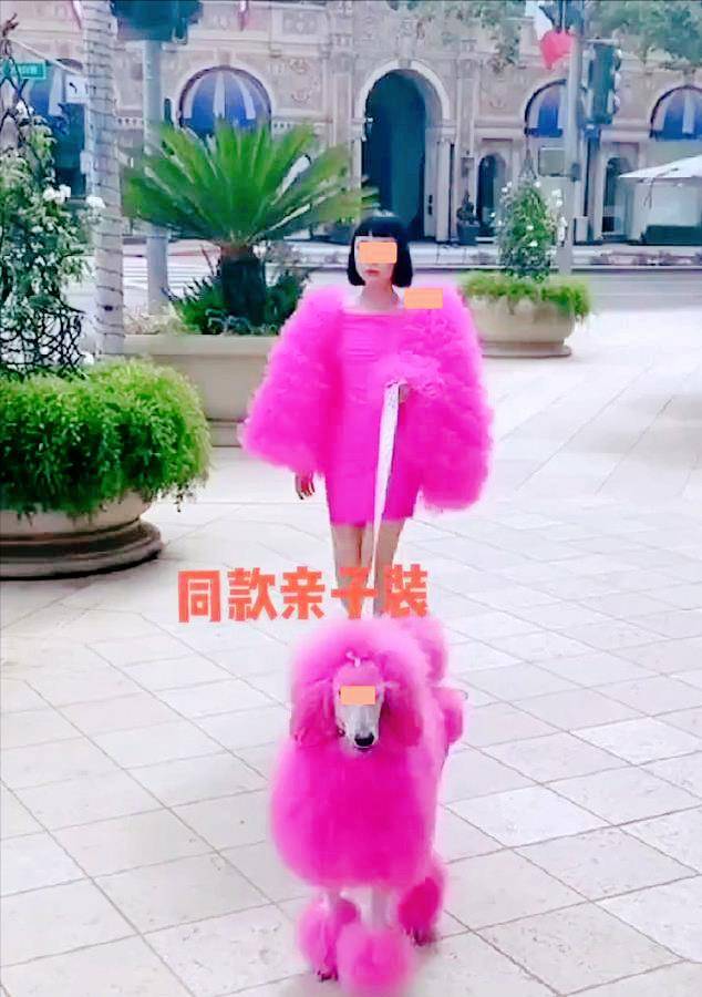 纪实女子和狗同吃同住,出门和狗狗穿同款粉色衣服,网友接受不了