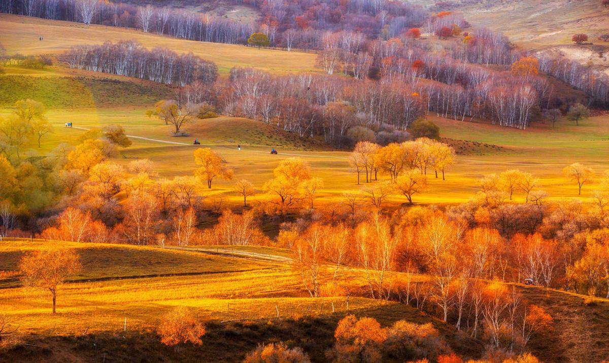 清朝中叶的闯关东,极富开创精神,也让辽西偿还两百多年森林欠账