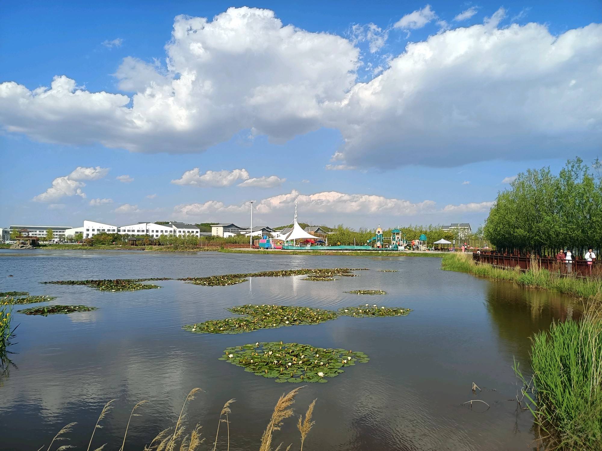 庄河市东方湖初夏美景