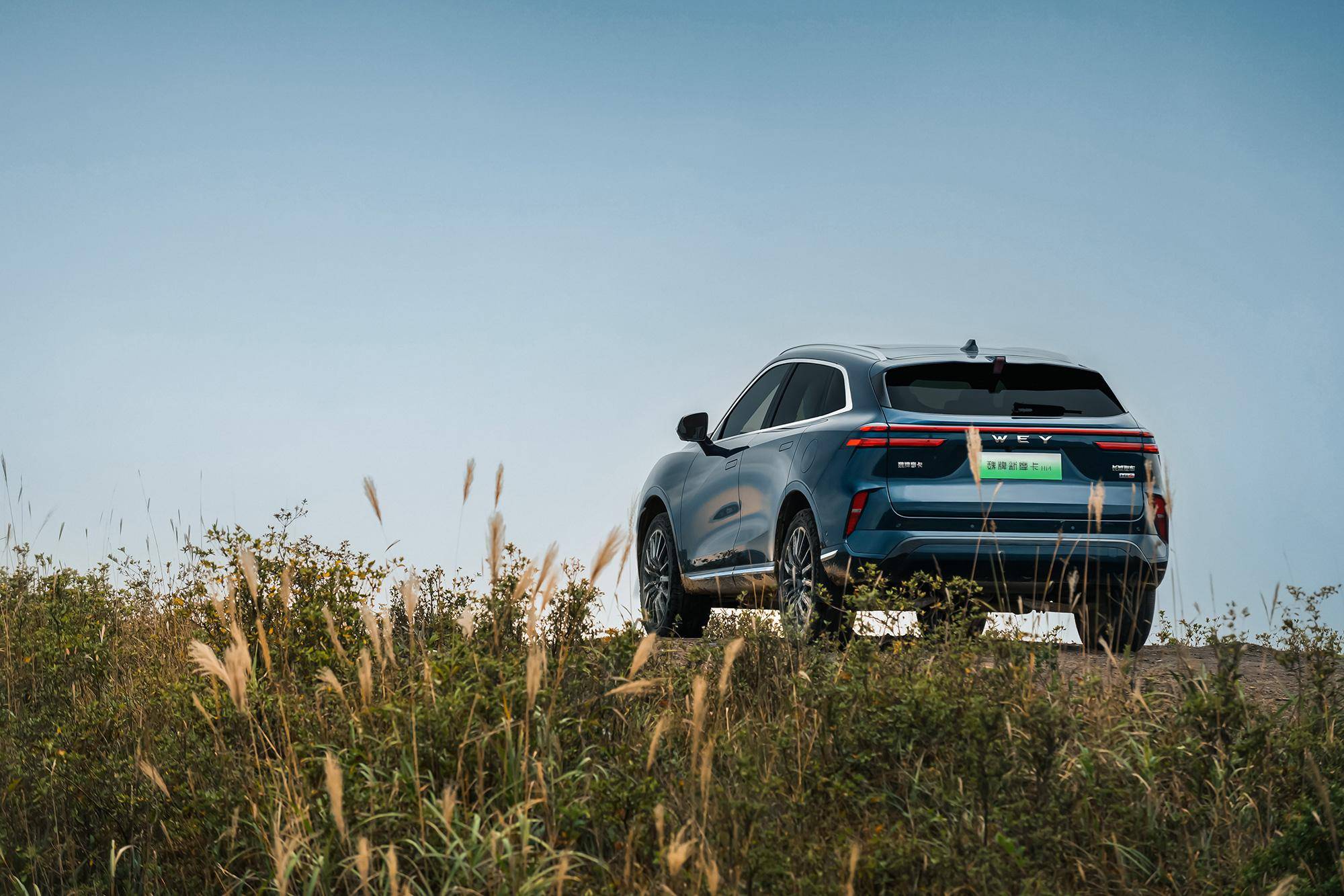 魏牌新摩卡hi4上市 买比亚迪唐dm-p的车主后悔了吗?