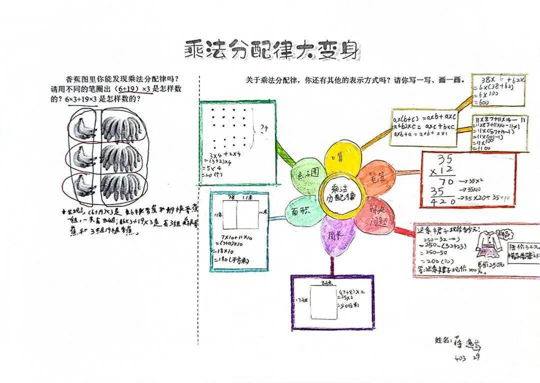 教师书话 | 探究性作业实践·四年级"乘法分配律大变身"_作品_数学