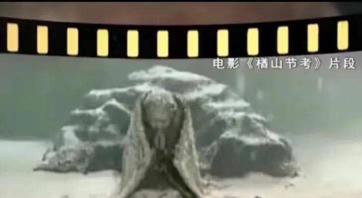 贵州一村有上万个活死人墓,送老人进去等死,村支书说:这是秘密