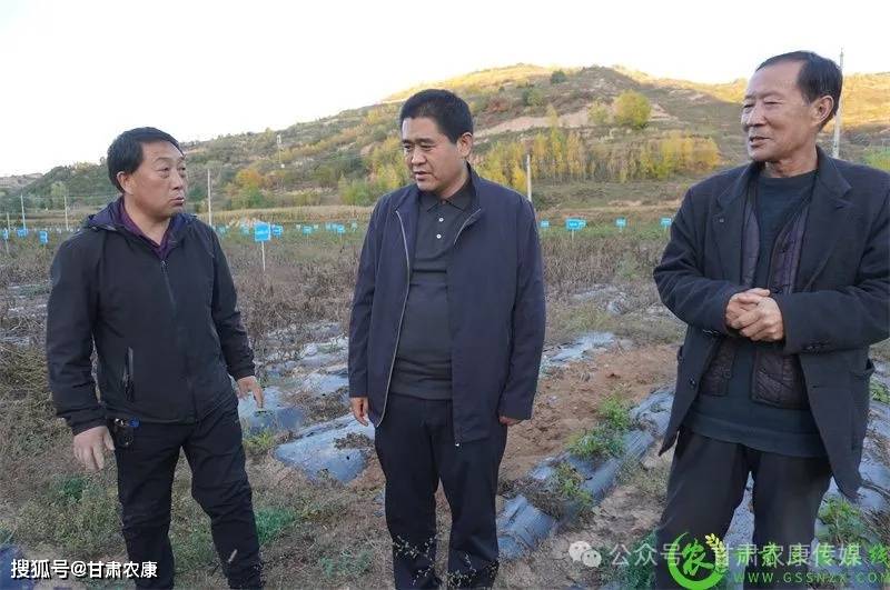 庄浪县积极开展试验示范 建立绿色种养现代循环农业发展体系