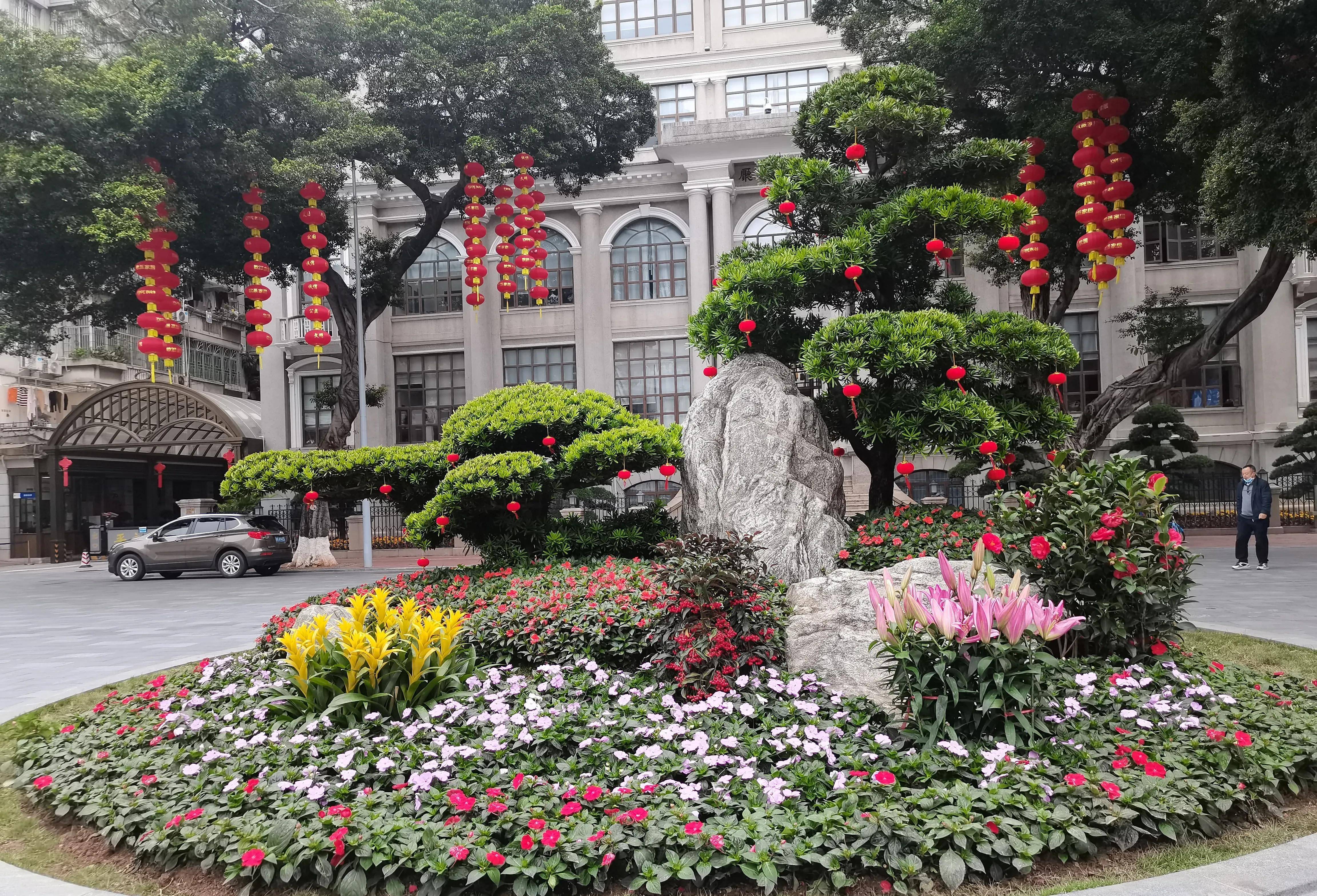 在广州过年,到花城看花,今年迎春花市再现十里长街繁华似锦
