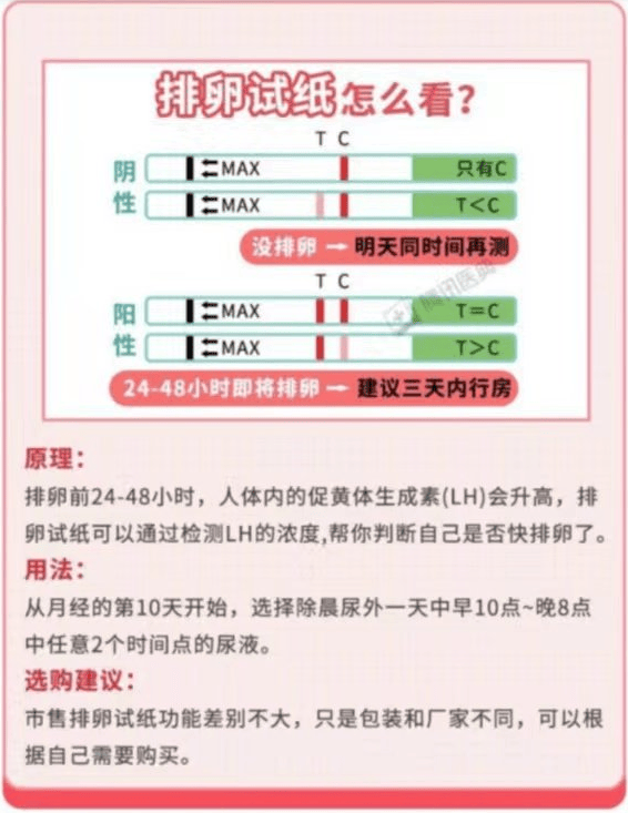 排卵期会有什么反应图片