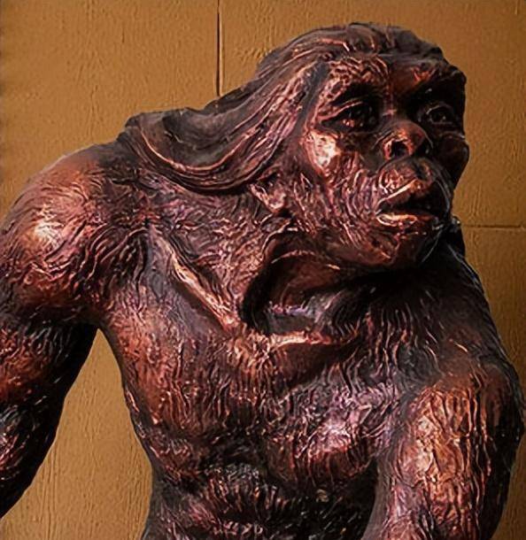 元谋人学名元谋直立人,或称元谋猿人,是在中国发现的直立人化石.