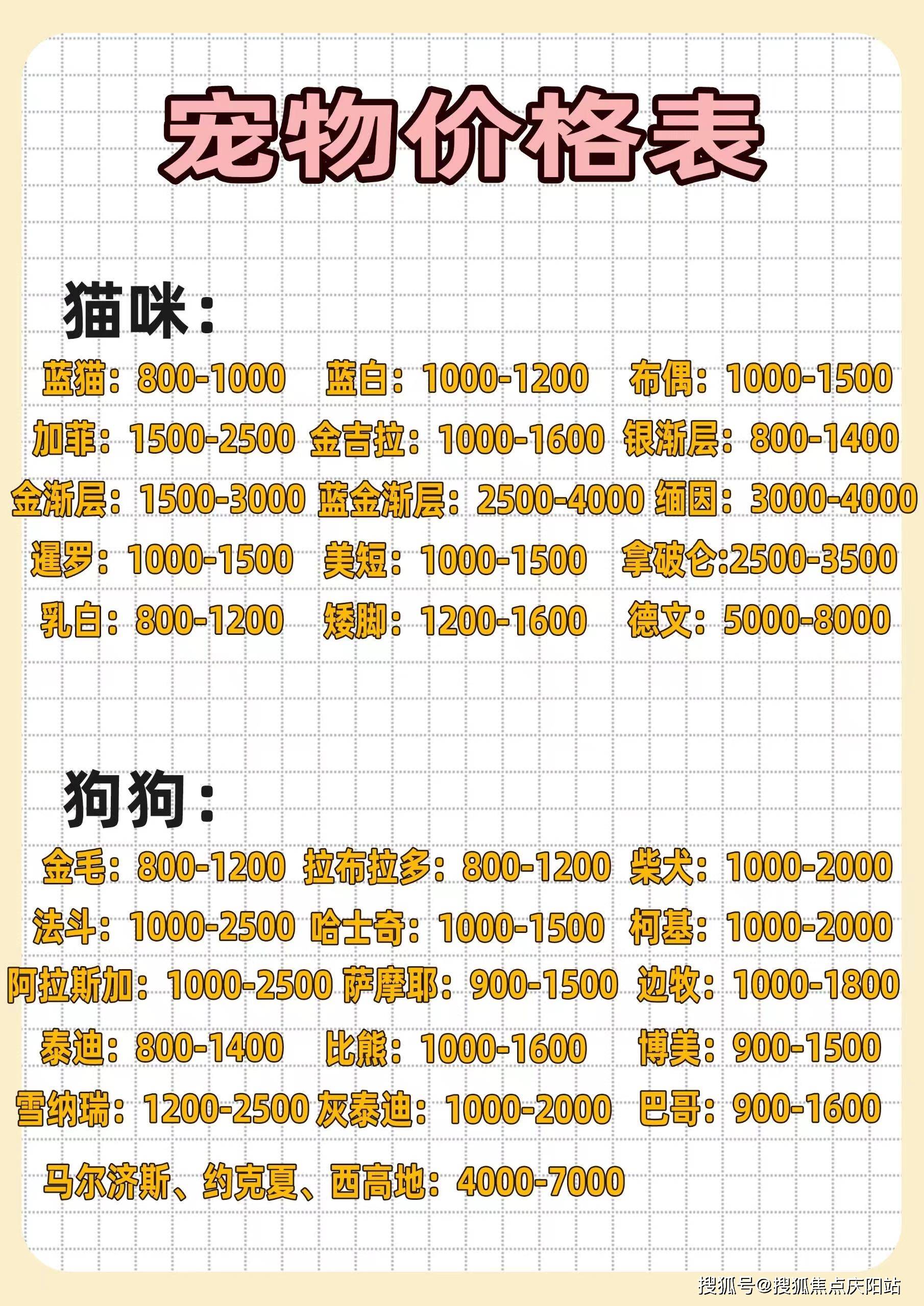 义乌买宠物首页网站 | 义乌买宠物哪里买性价比高,这里可线下实体店