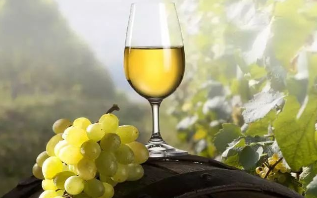 被热化的夏天,你正需要一杯白葡萄酒