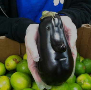 形状_红薯_茄子