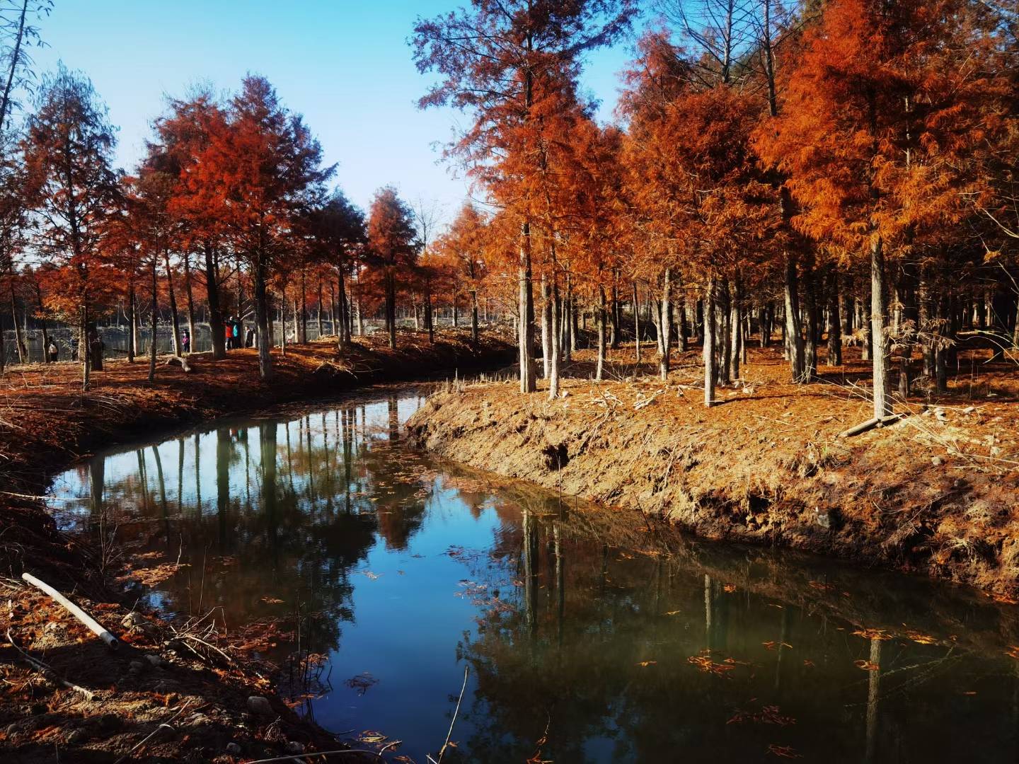 狱中杂记(2018年9月18日)
