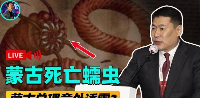 沙漠巨蟒"死亡蠕虫"!蒙古总理意外透露,找到它就找到了成陵?