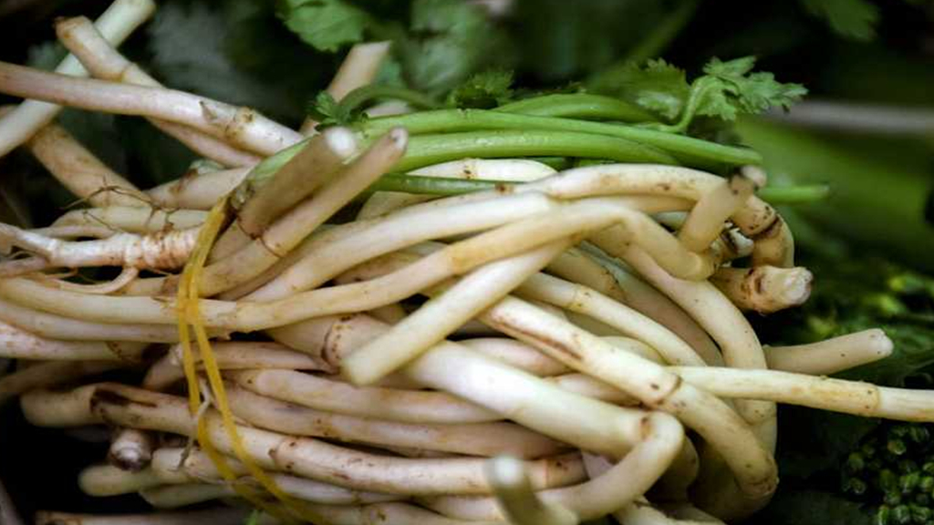 尿酸的"天敌"被发现了,早晚吃几口,降下尿酸,远离痛风困扰_肾脏_菊苣