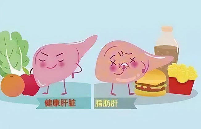 太原龙城中医医院:导致肝损伤的原因有哪些